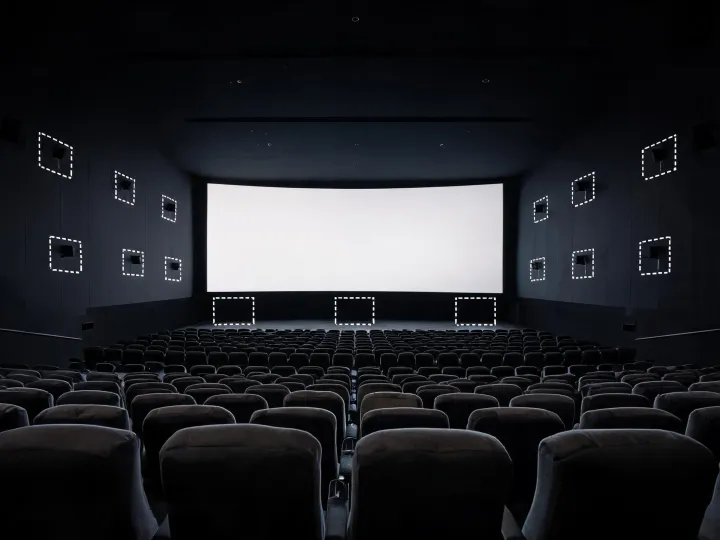 Cinema auditorium sound installation
